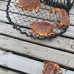 Σπίτι διακοπών Koselig Og Usjenert Med Fantastisk Utsikt Og Solforhold Gjerset